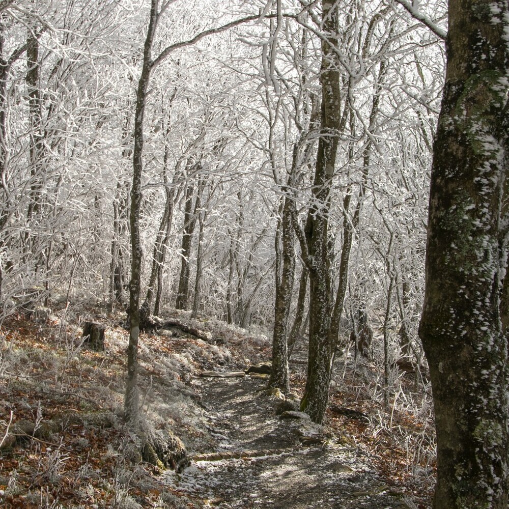 someone give me clothes bro